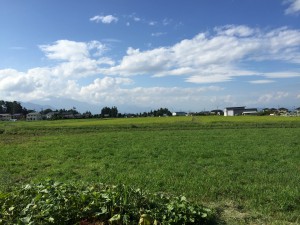 IMG_0595