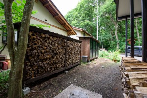 隣家の目隠しにもなるグリーンラックと木っとハレルヤ