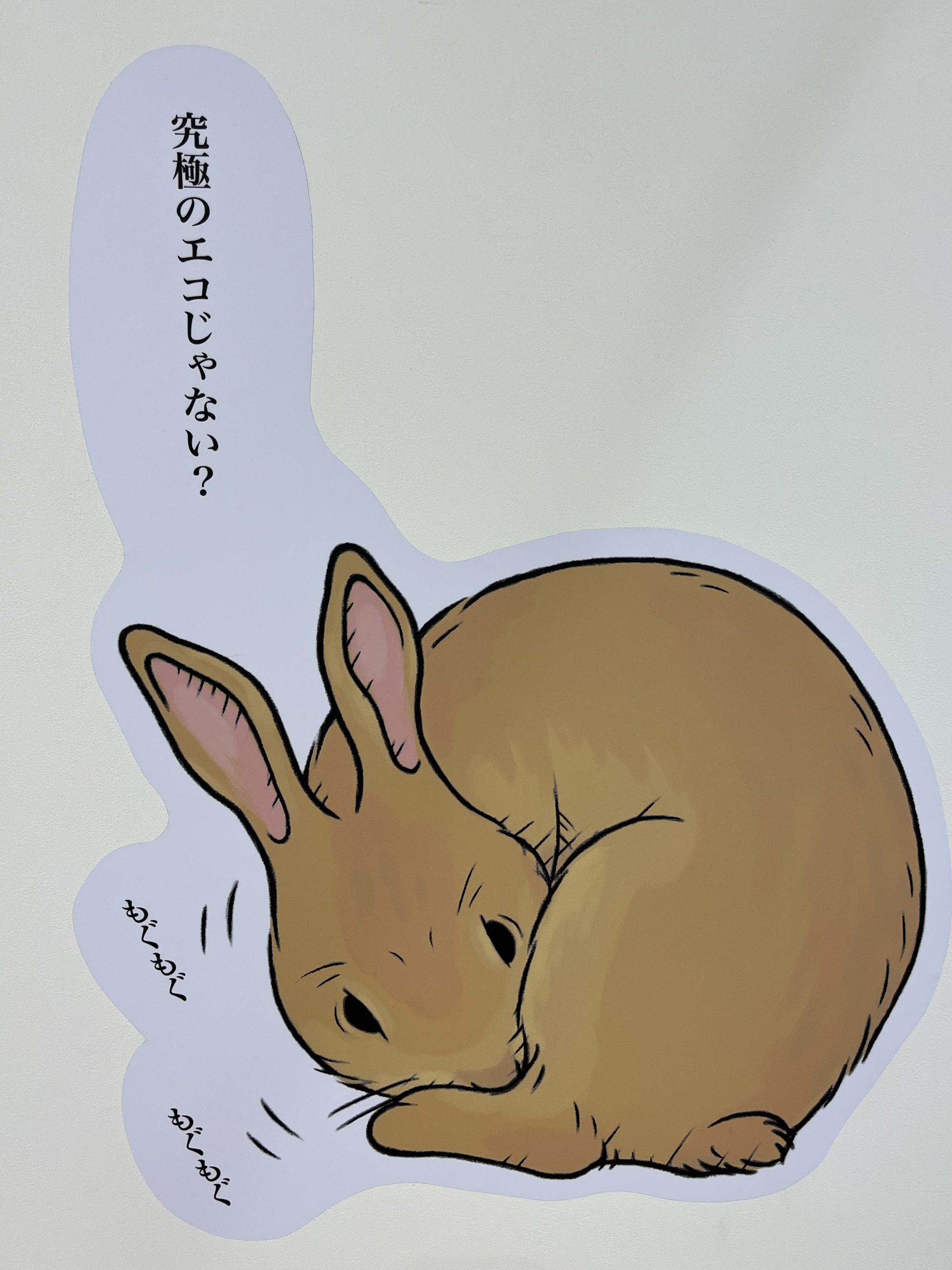 うさぎ年、究極のエコじゃない？ | 株式会社Reborn（リボーン）｜長野